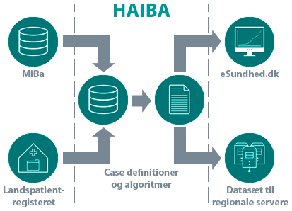 HAIBA - Formidling af data